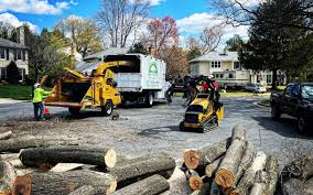 Best Tree Preservation Services  in Cornell, WI